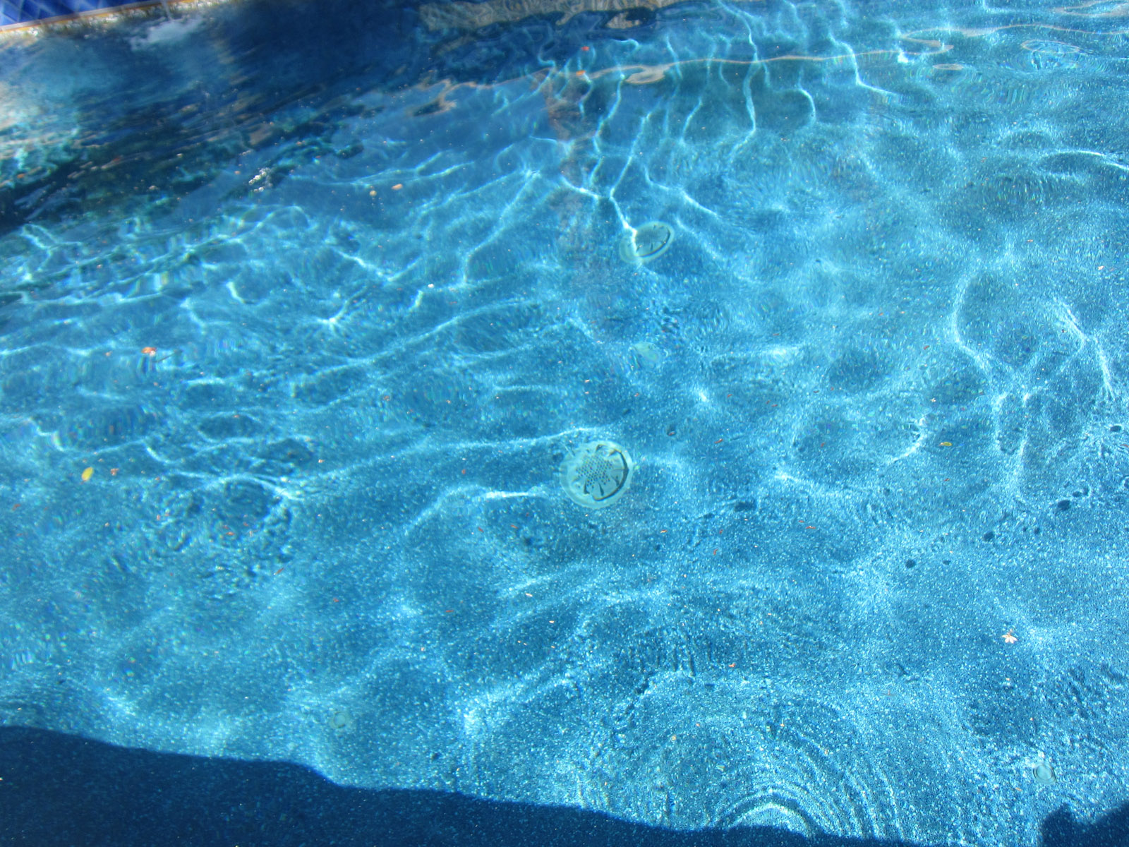 Grand Tour of Gardens 2013 (13)